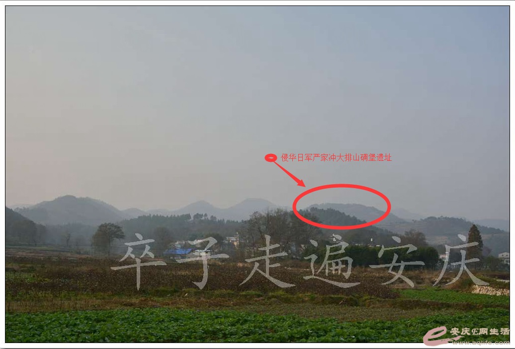 20161204 201.jpg