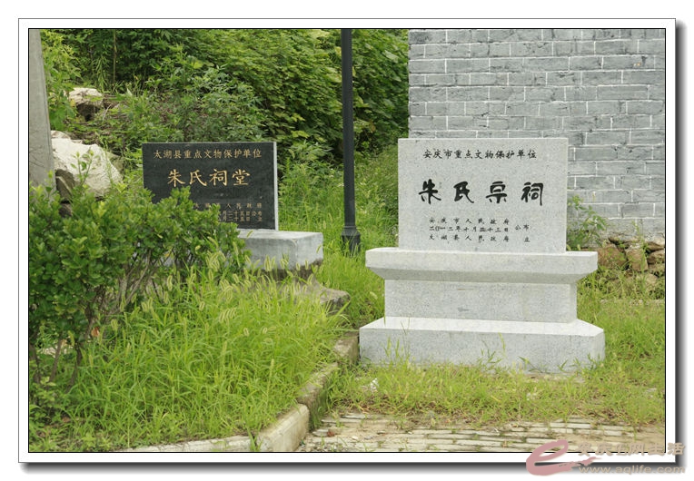 20140812 042.jpg
