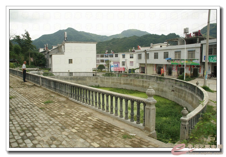 20140812 044.jpg