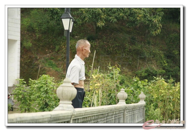 20140812 045.jpg