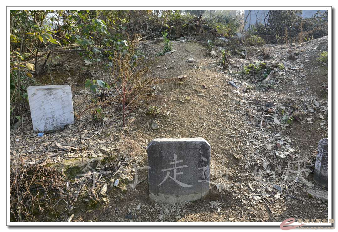 20161204 070.jpg