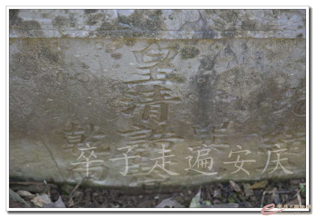 20161204 094.jpg