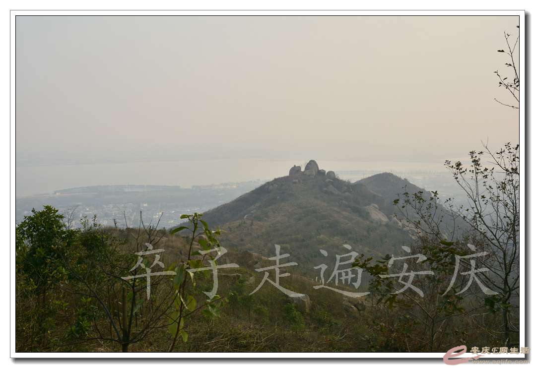 20161128 090.jpg