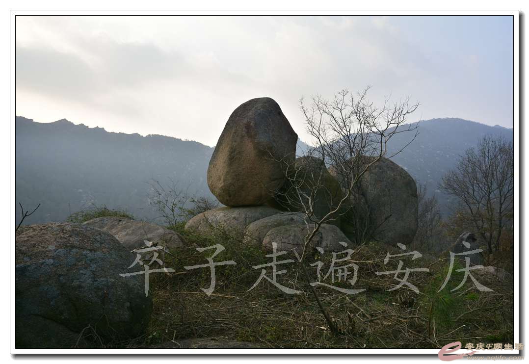 20161128 113.jpg
