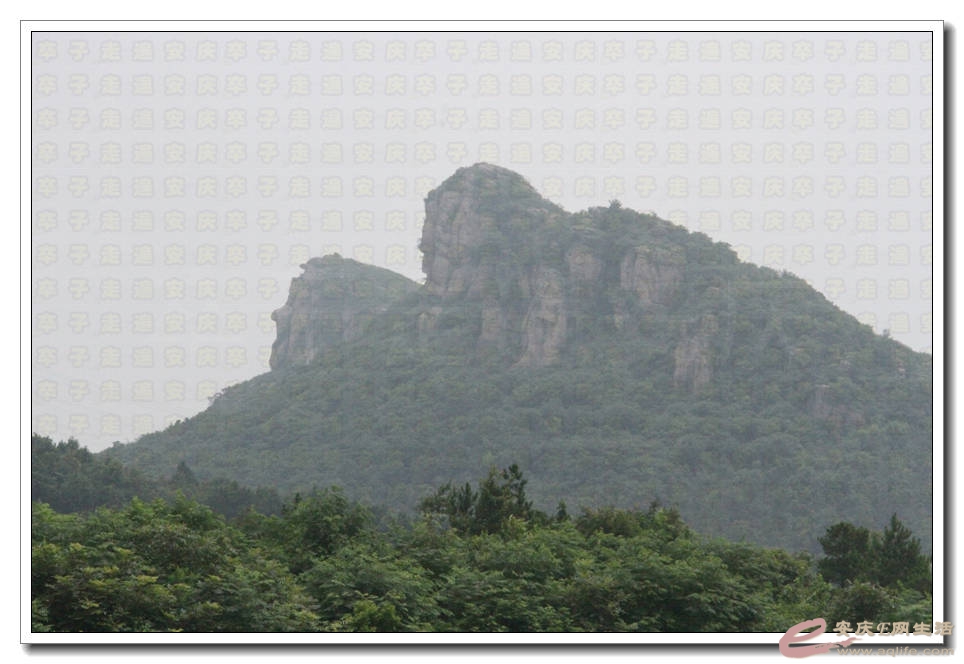 20150718 181.jpg