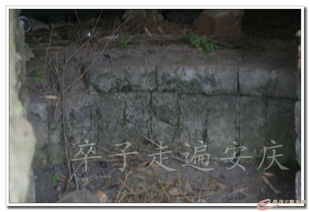 20161224 010.jpg