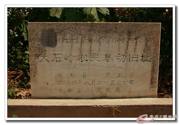 2014100106 042.jpg