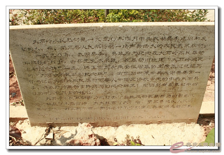 2014100106 050.jpg