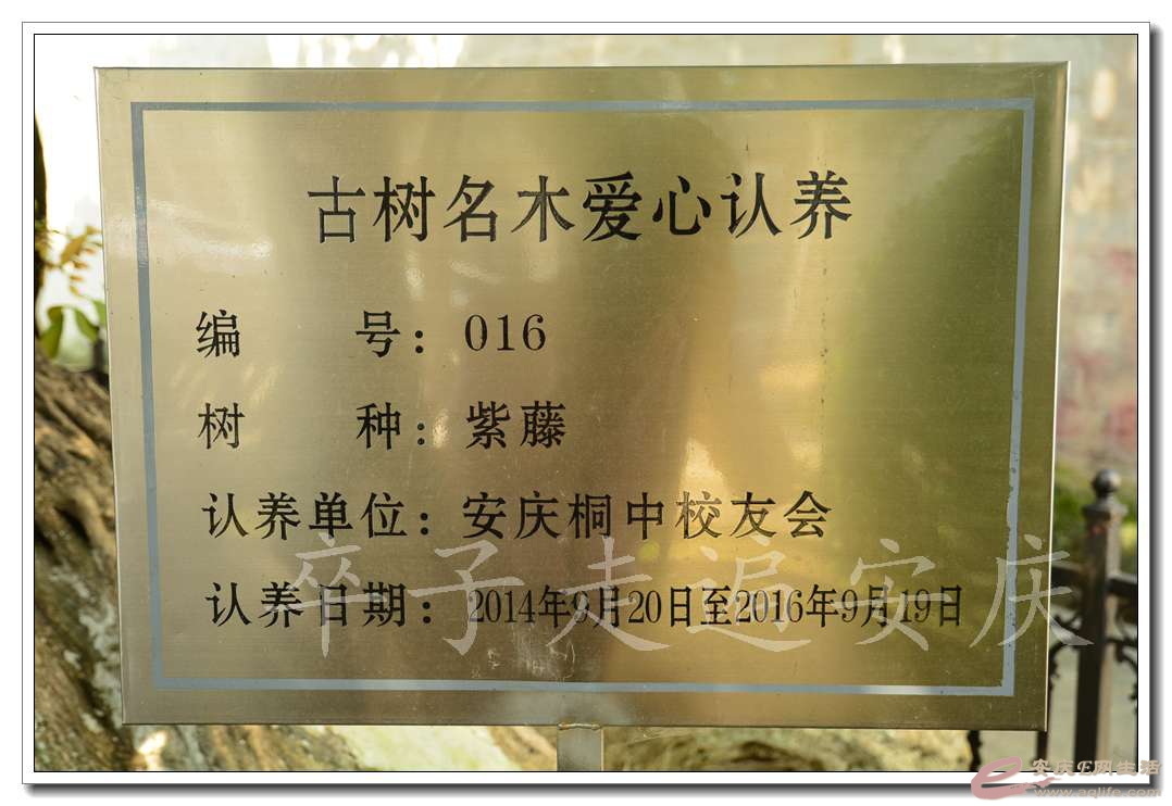 20160723 228.jpg