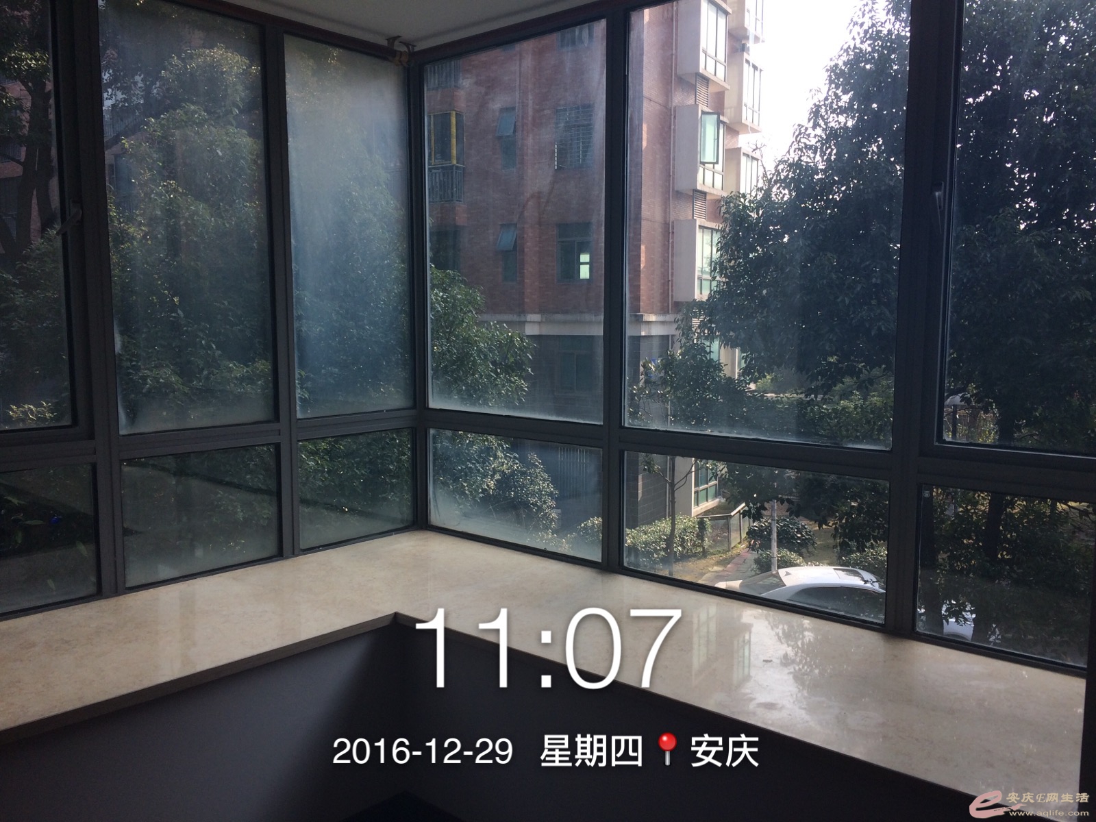 IMG_6565.jpeg