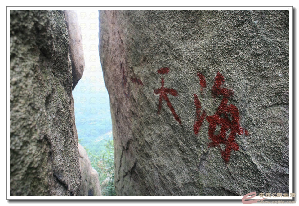 20150912 038.jpg
