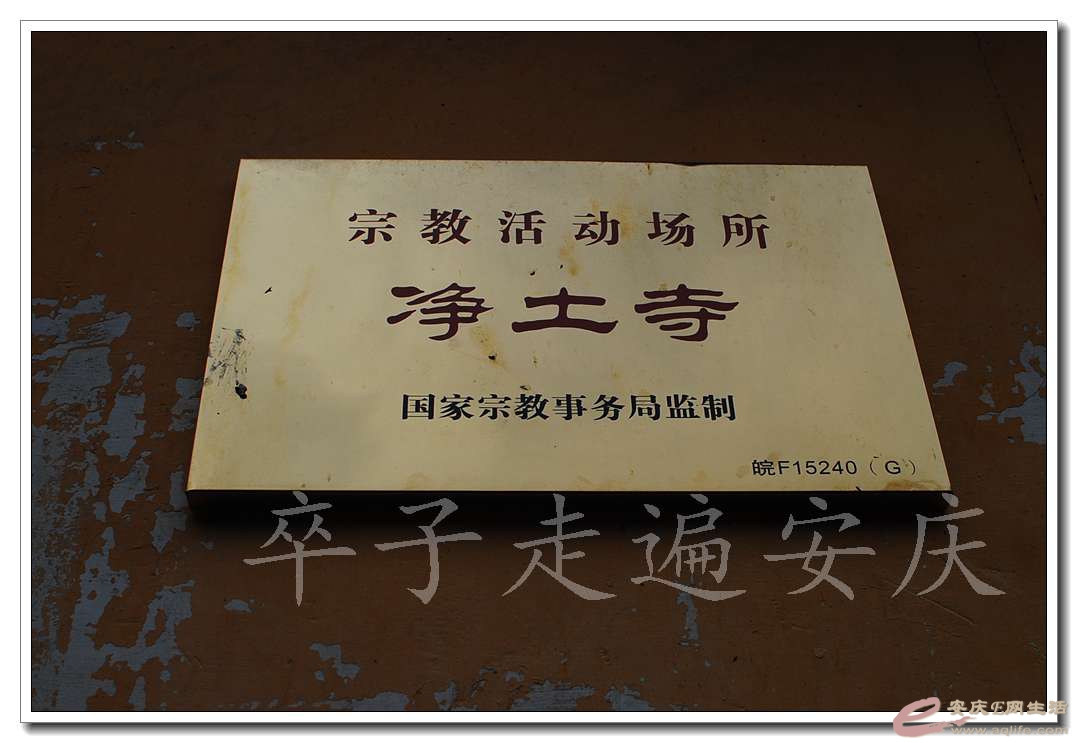 20161112 049.jpg