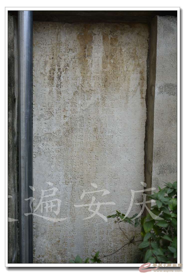20161112 054.jpg