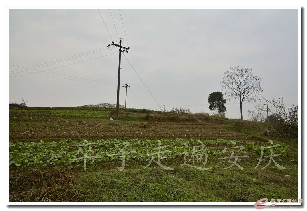 20161204 023.jpg