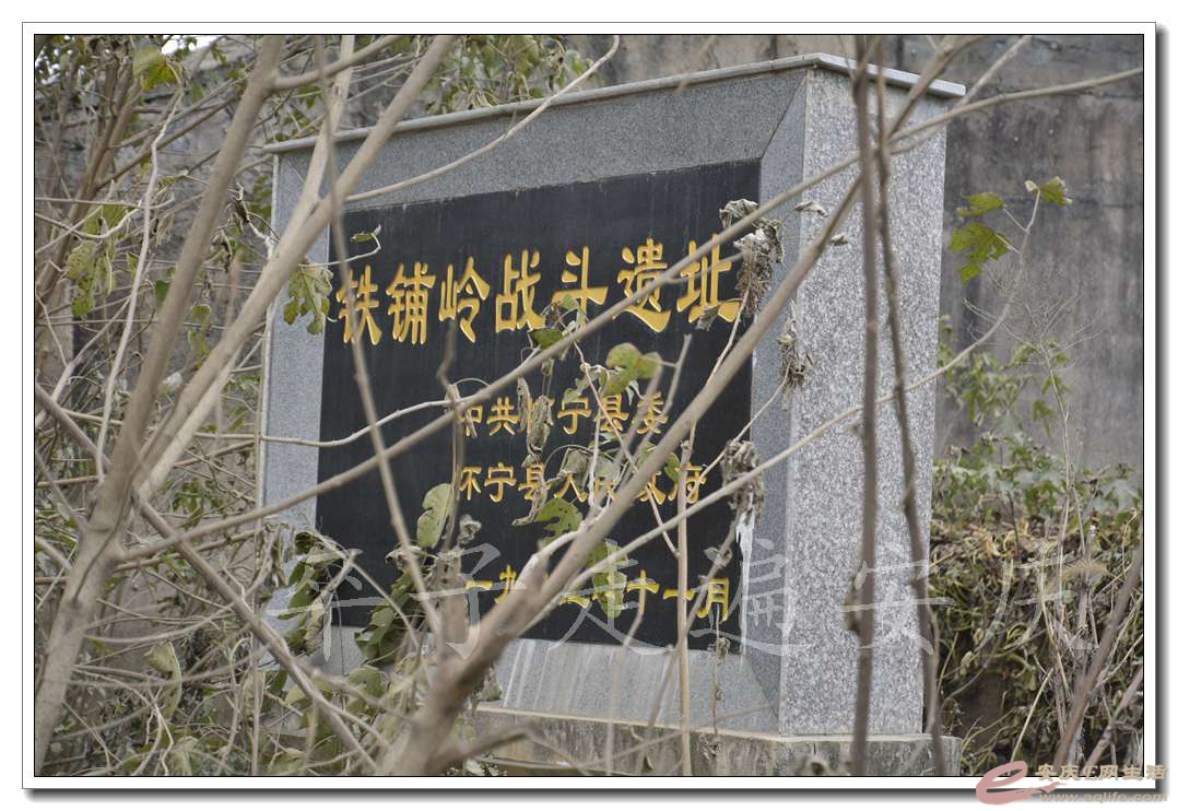 20161204 030.jpg