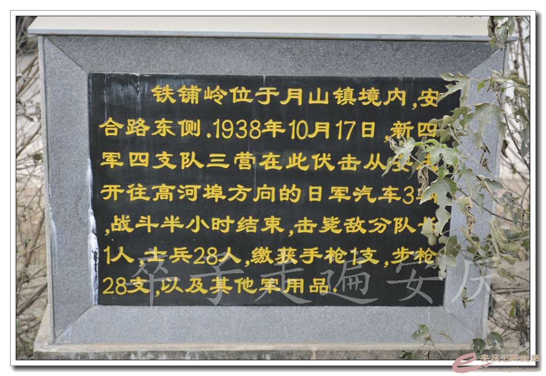 20161204 031.jpg