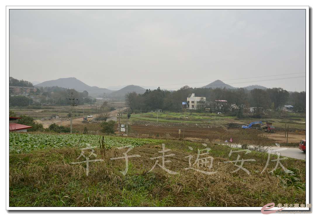 20161204 036.jpg