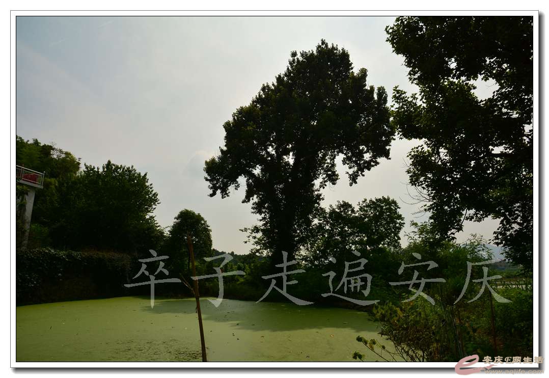 20160709 176.jpg