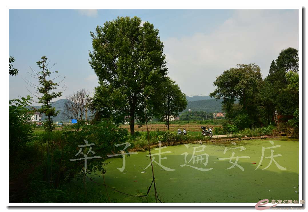 20160709 186.jpg