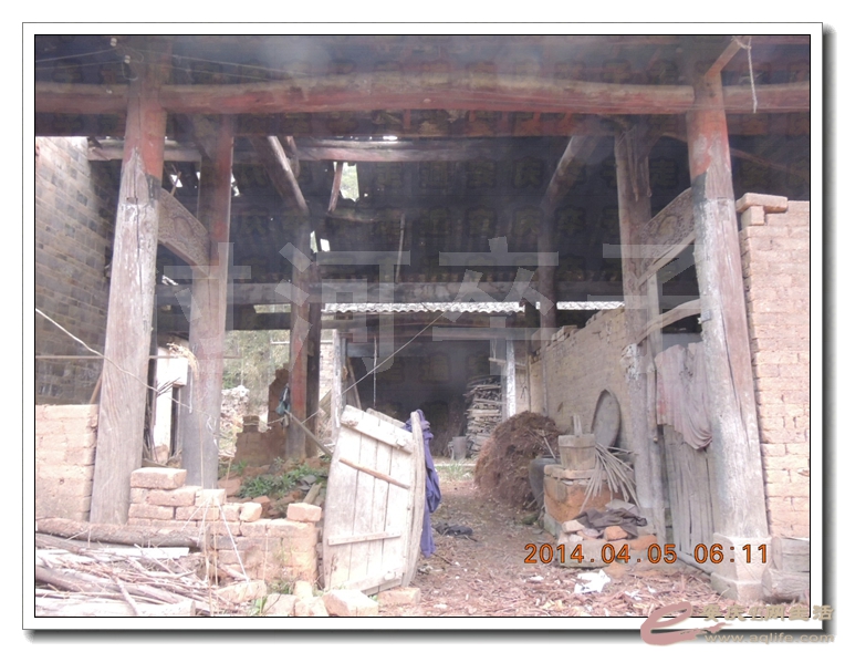 20130405 07.jpg