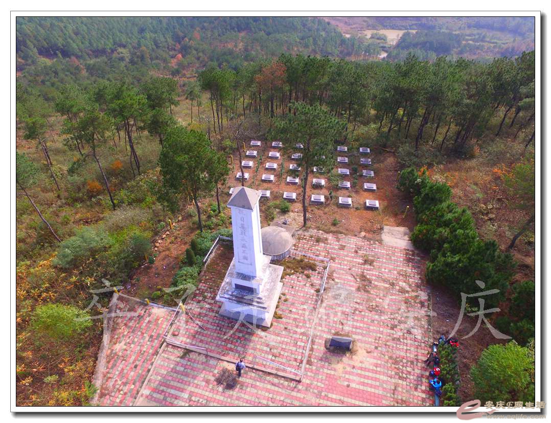 DJI_0163.jpg