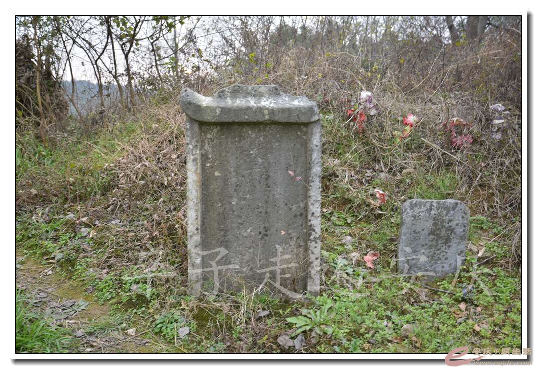 20161211 091.jpg