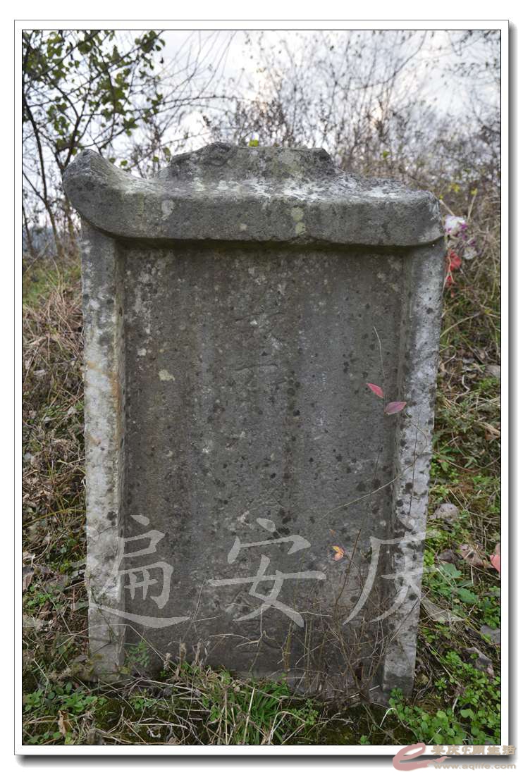 20161211 092.jpg