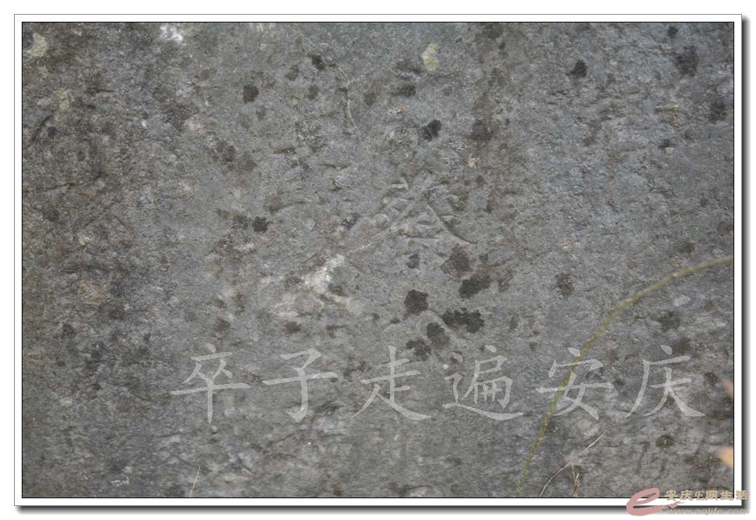 20161211 094.jpg