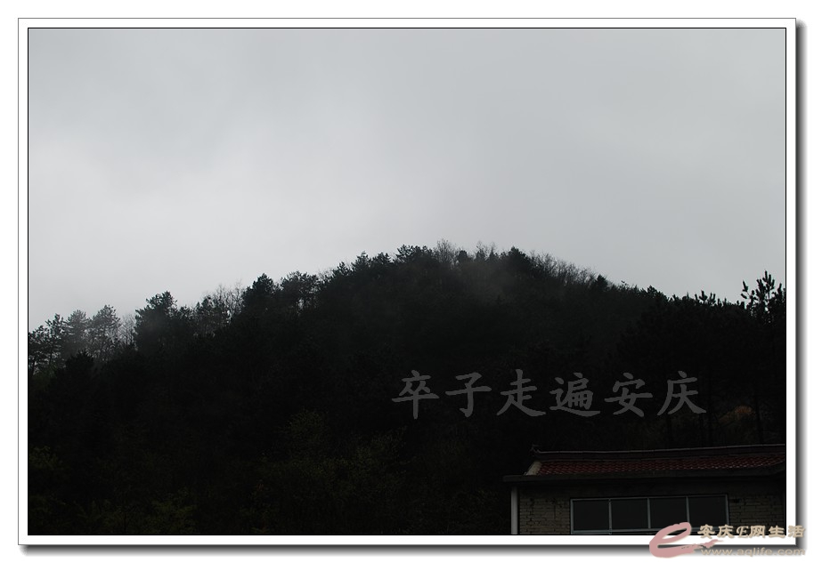 20160402 091.jpg
