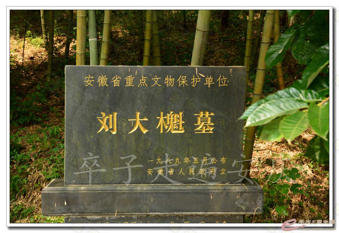 20160709 159.jpg