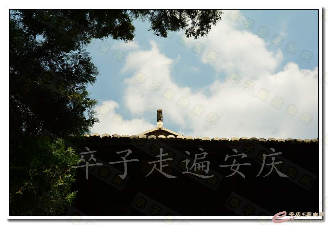20160723 209.jpg