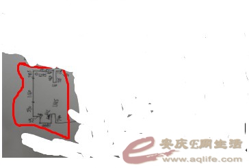 ECBDBF25-9918-4811-BAF6-A074BDD989B5.jpg