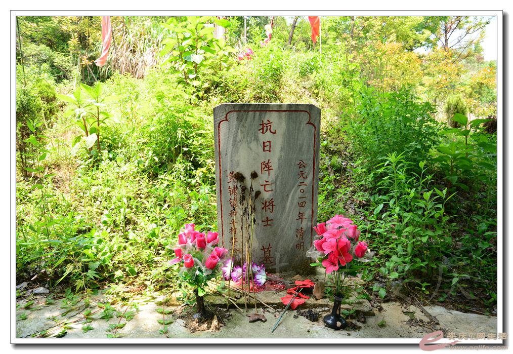 20160514 060.jpg