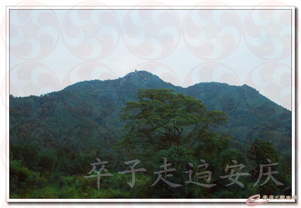 20160910 001.jpg