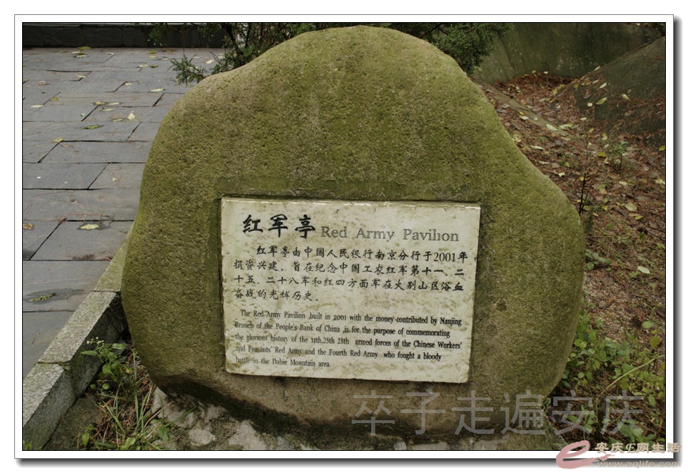 20151107 083.jpg