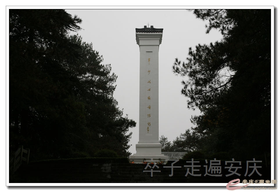 20151107 093.jpg