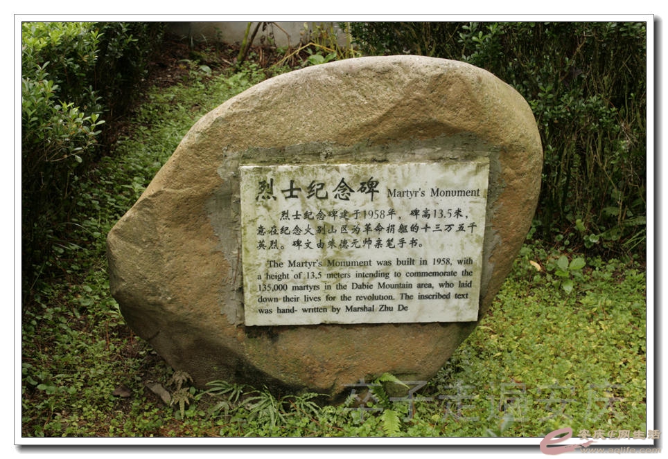 20151107 097.jpg