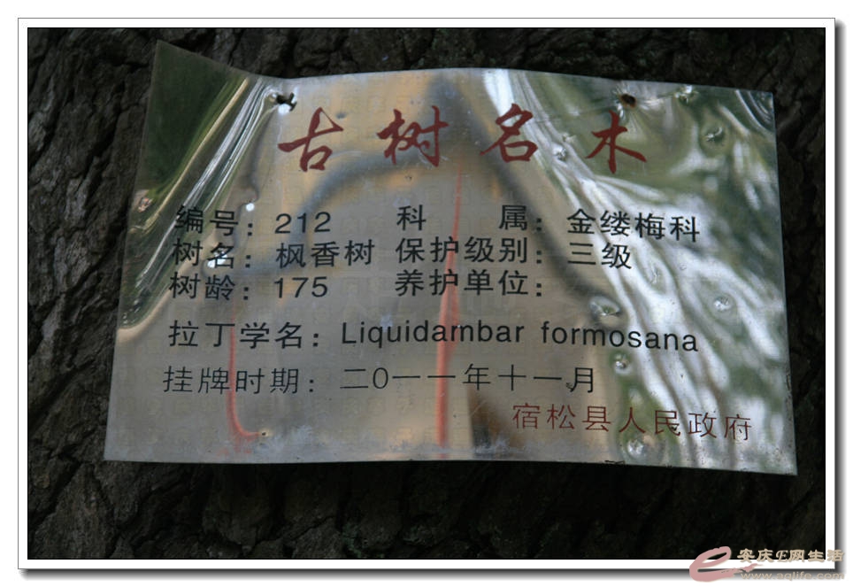 20150829 169.jpg