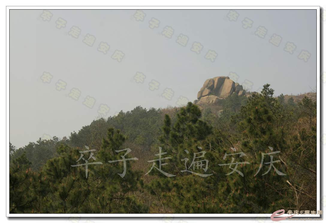 20170311 108.jpg