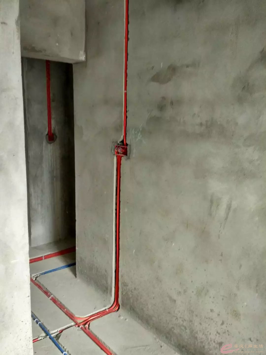 psb (59).jpg