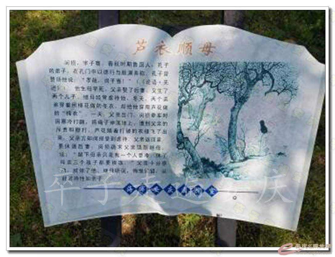 20170326_113138.jpg.jpg