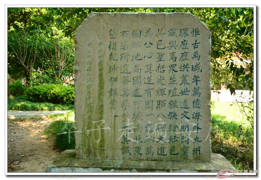 20160723 146.jpg