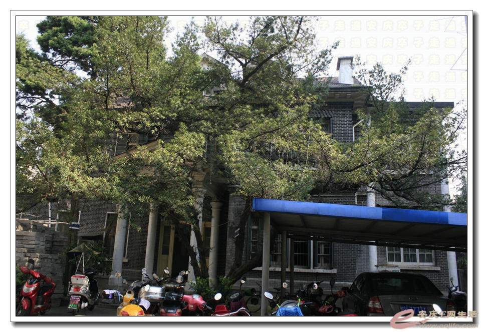 20150412 002.jpg
