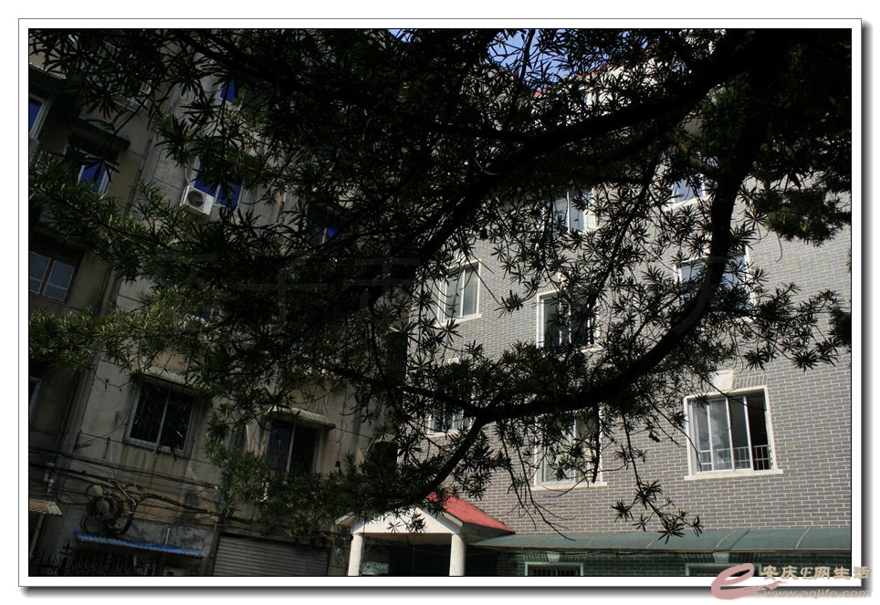 20150412 011.jpg