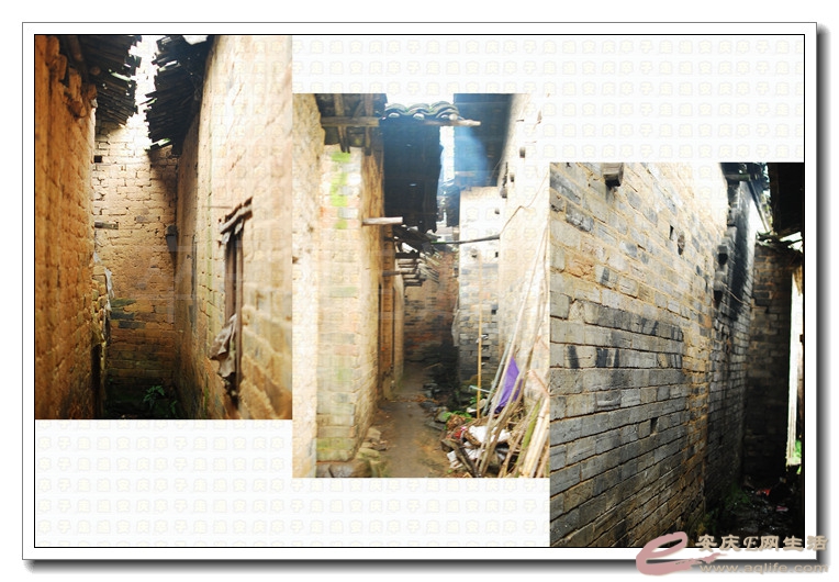 20140524 310.jpg