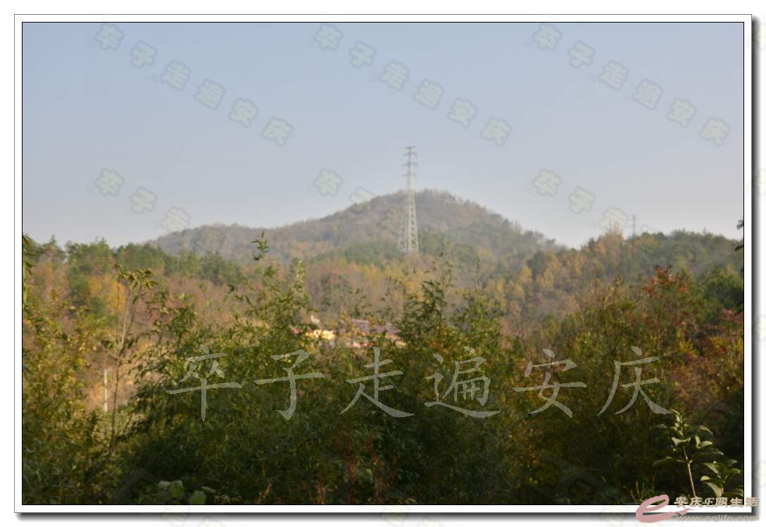 04.jpg