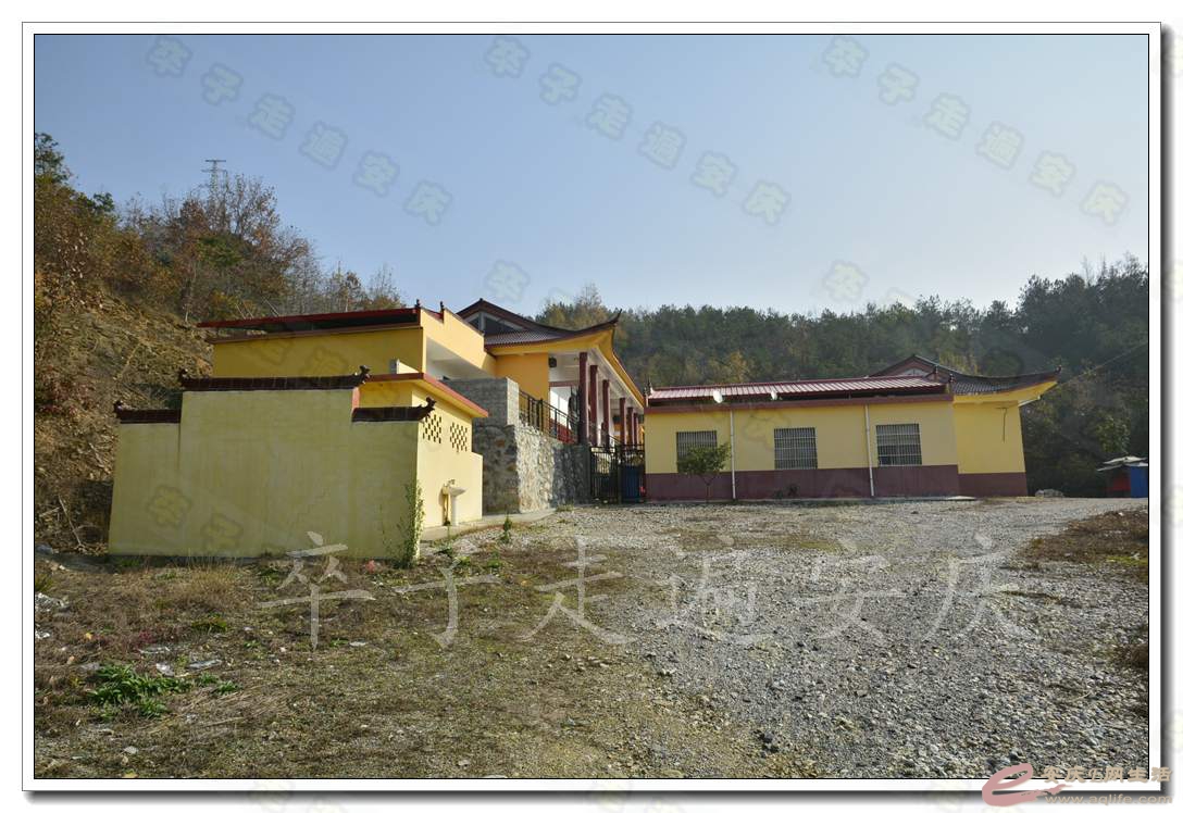 05.jpg