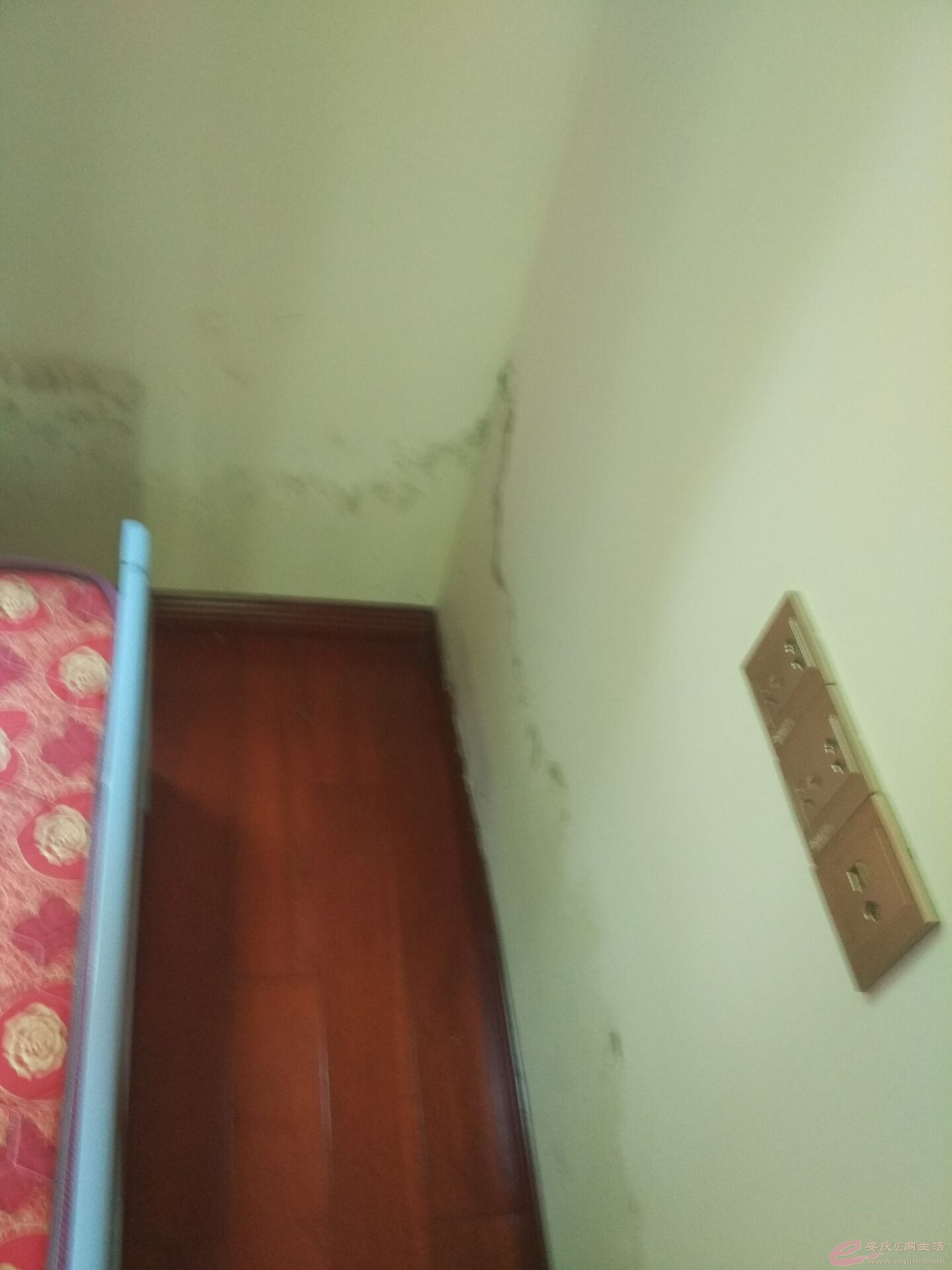QQͼƬ20170502121946.jpg