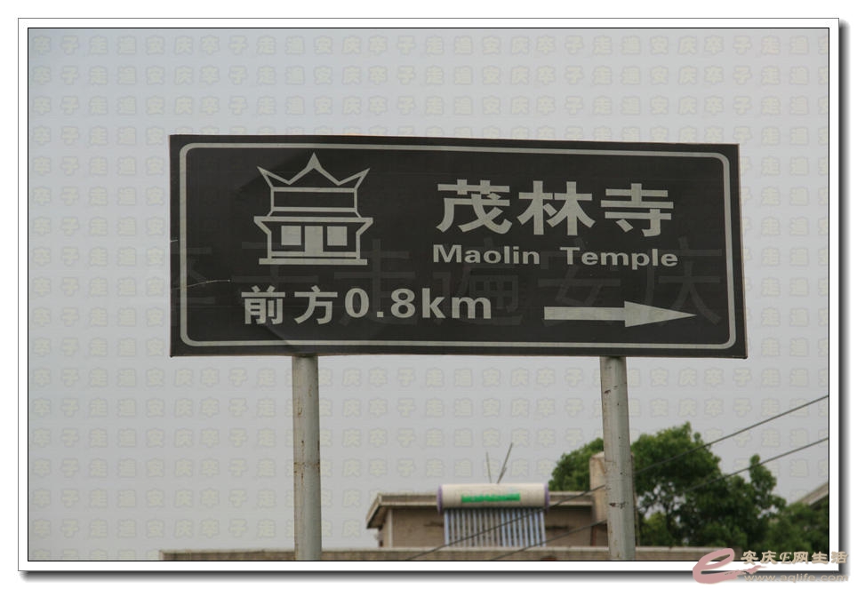 20150418 405.jpg