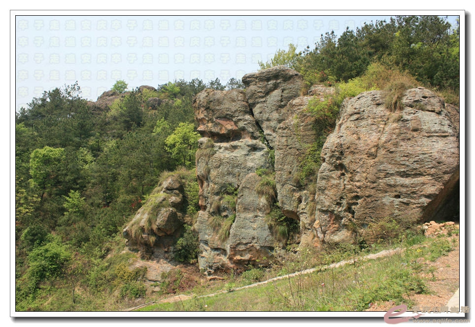 20150412 120.jpg